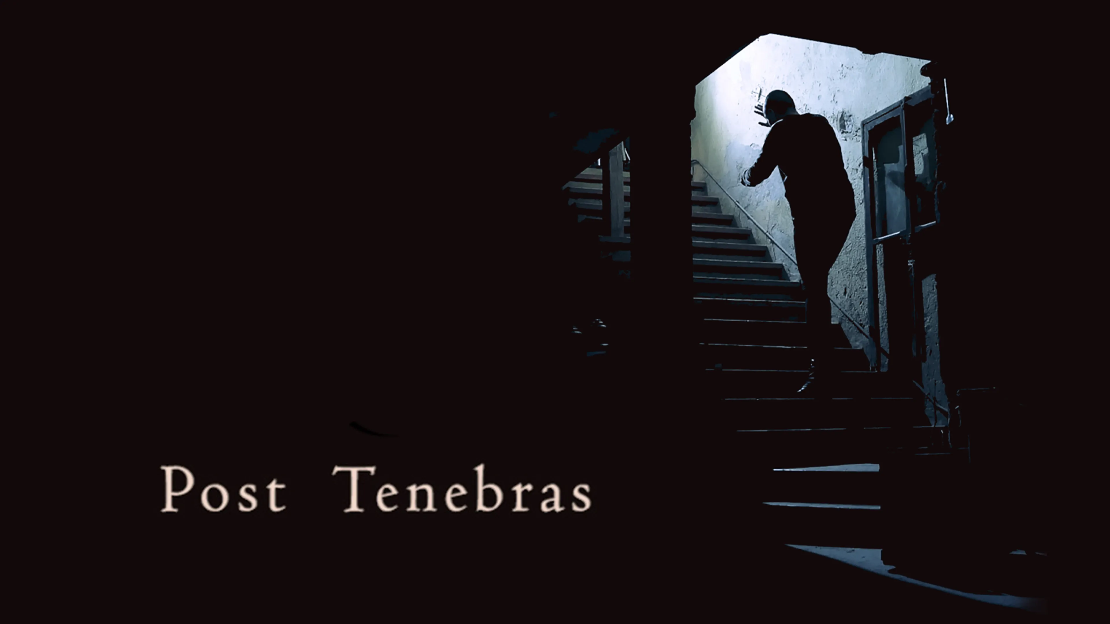Post Tenebras poster